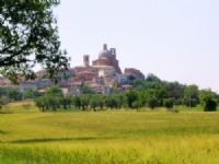 La Collegiata di San Pietro a Monte San Vito, patria di Procaccini